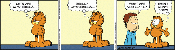 Garfield misterioso