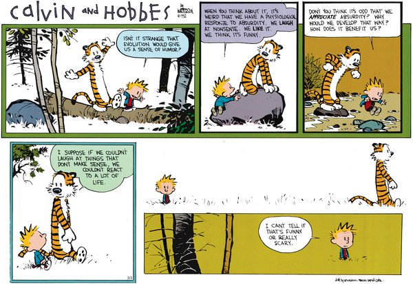 Calvin explorando os mistérios da evolução humana…